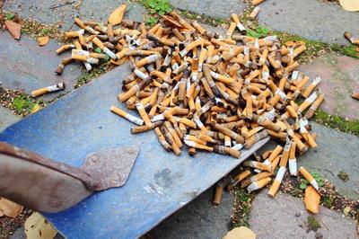 Hvordan skal udvidet producentansvar på cigaretskod organiseres?