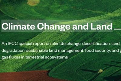 FN’s nye klimarapport ser også på det globale madspild