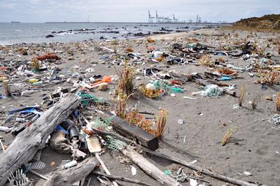 Affaldet skal væk fra hav og strande